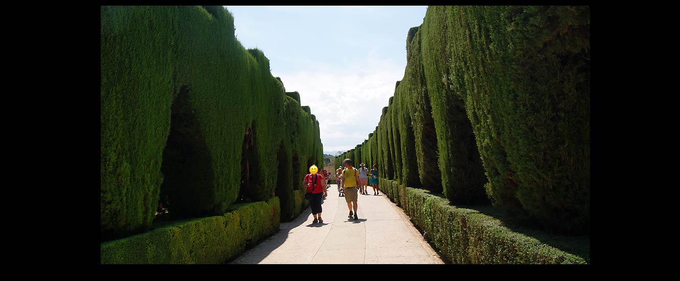 Jardins du Partal et de l'Alhambra de Grenade